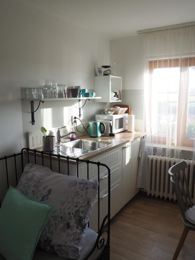 U Vaclava Apartment Knezeves  Exterior photo